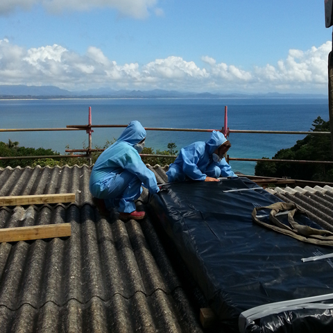 asbestos removal and demolition services area